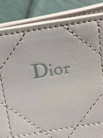 Dior Light Pink crossbody Premium Replica