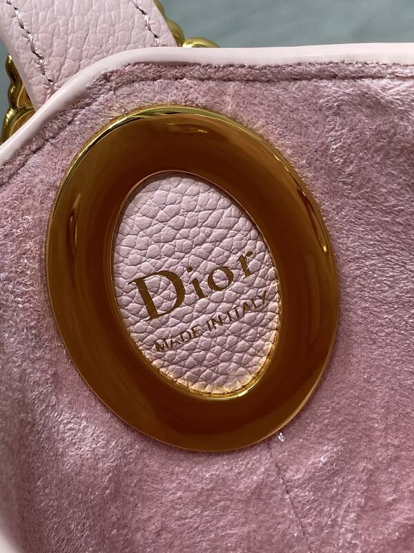 Dior Pink Oblique canvas crossbody — Top Quality Replica