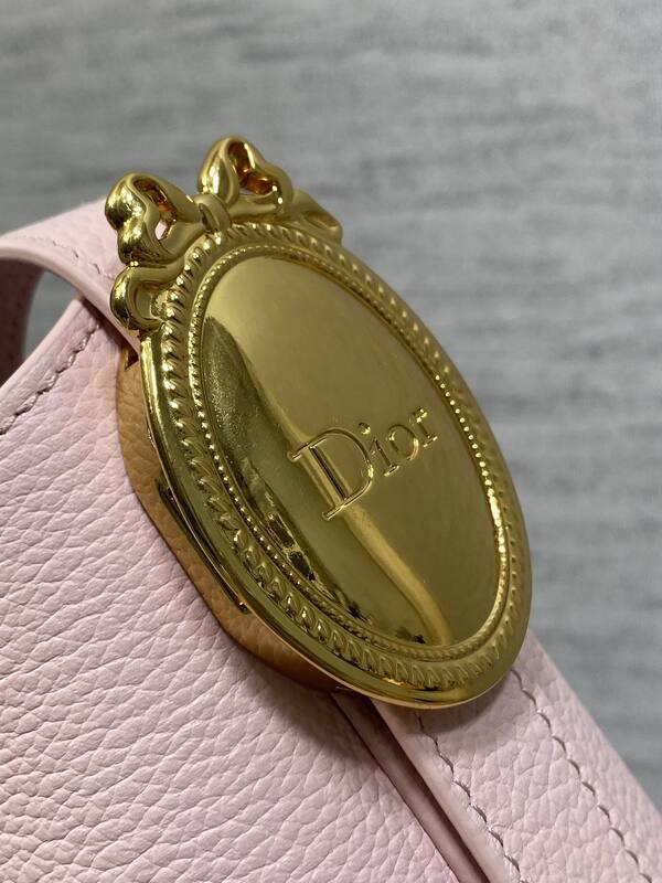 Dior Pink Oblique canvas crossbody — Top Quality Replica