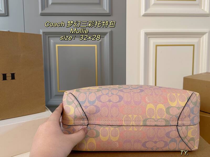 Coach Mollie Pastel Multicolor Signature Canvas tote — AAA Quality Replica