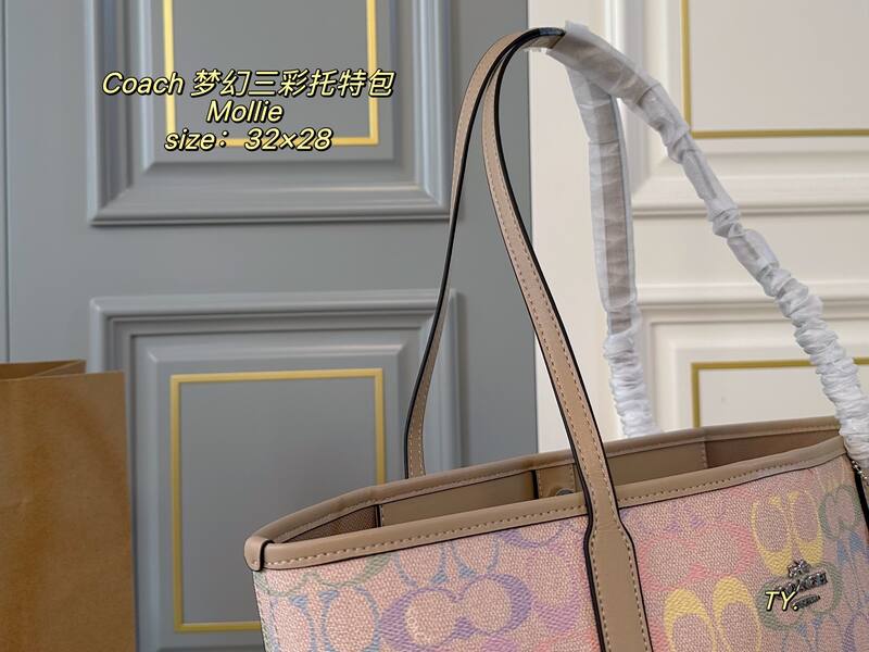 Coach Mollie Pastel Multicolor Signature Canvas tote — AAA Quality Replica