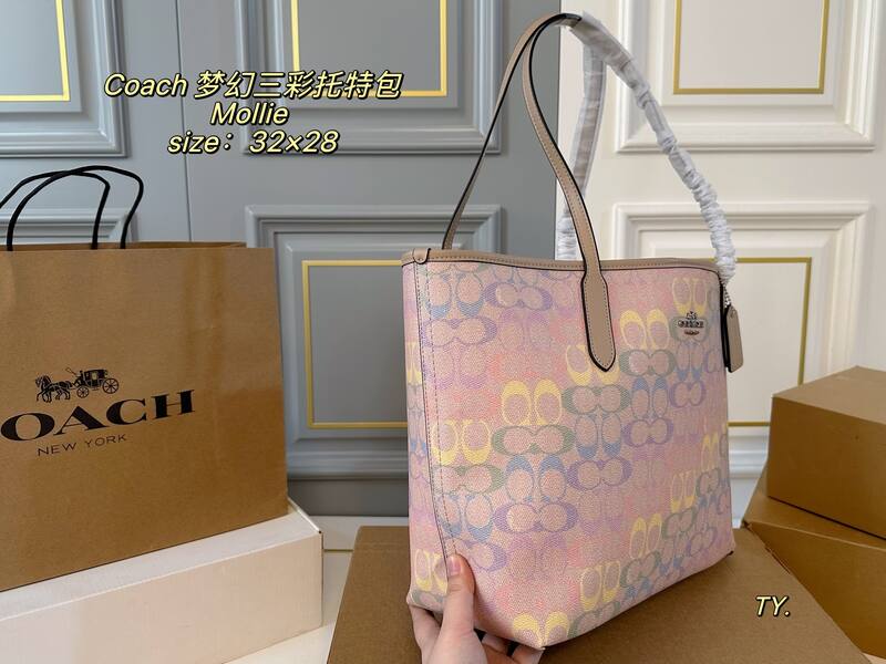 Coach Mollie Pastel Multicolor Signature Canvas tote — AAA Quality Replica
