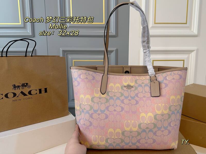 Coach Mollie Pastel Multicolor Signature Canvas tote — AAA Quality Replica