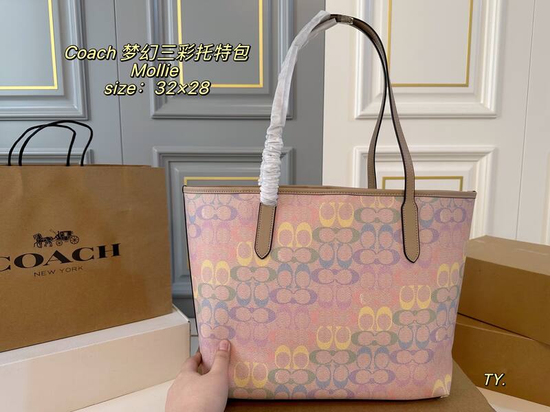 Coach Mollie Pastel Multicolor Signature Canvas tote — AAA Quality Replica