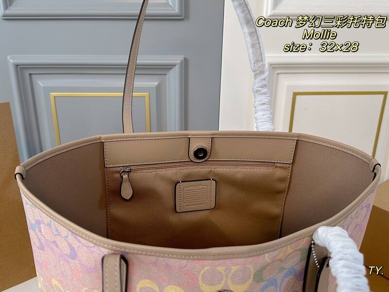 Coach Mollie Pastel Multicolor Signature Canvas tote — AAA Quality Replica