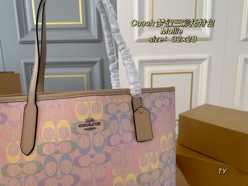 Coach Mollie Pastel Multicolor Signature Canvas tote — AAA Quality Replica