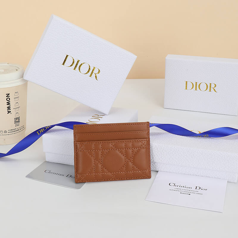 Dior Brown everyday — AAA Quality Replica