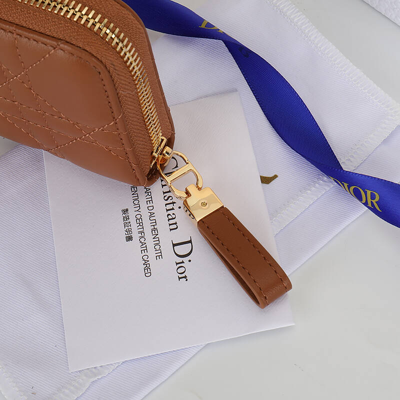 Dior S5304UTZQ Brown everyday — Premium Replica