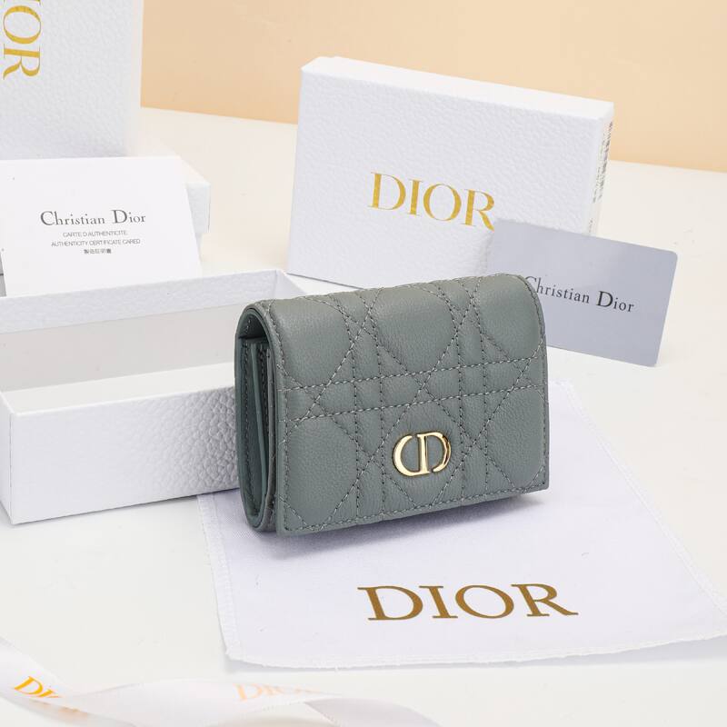 Dior Gray everyday — Premium Replica
