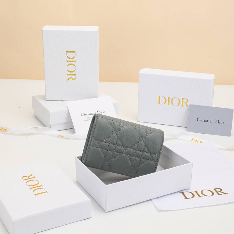 Dior Gray everyday — Premium Replica