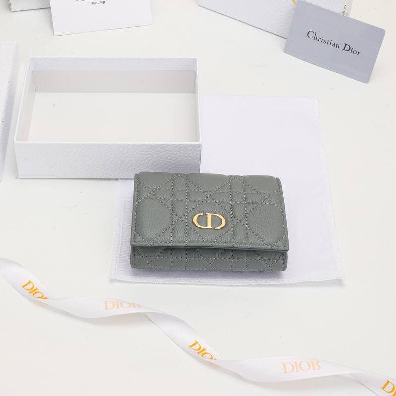 Dior Gray everyday — Premium Replica