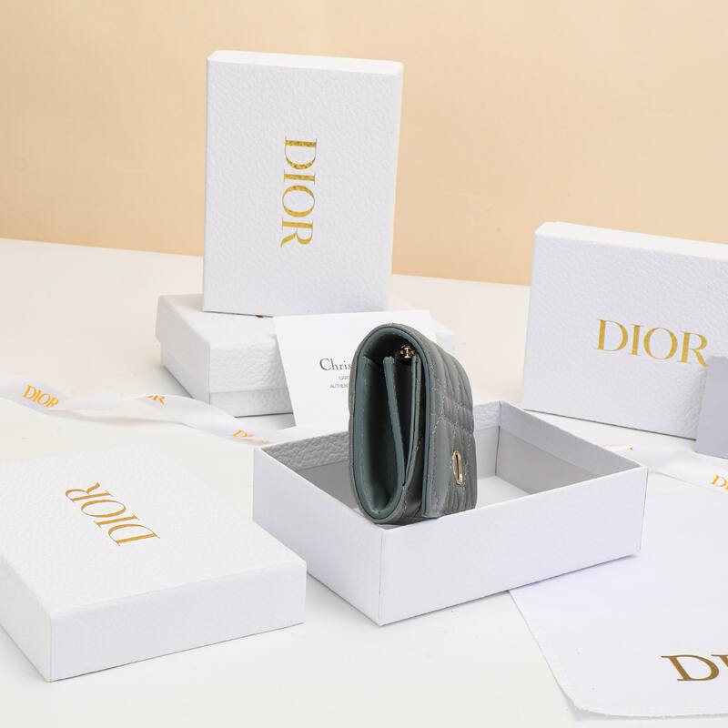 Dior Gray everyday — Premium Replica