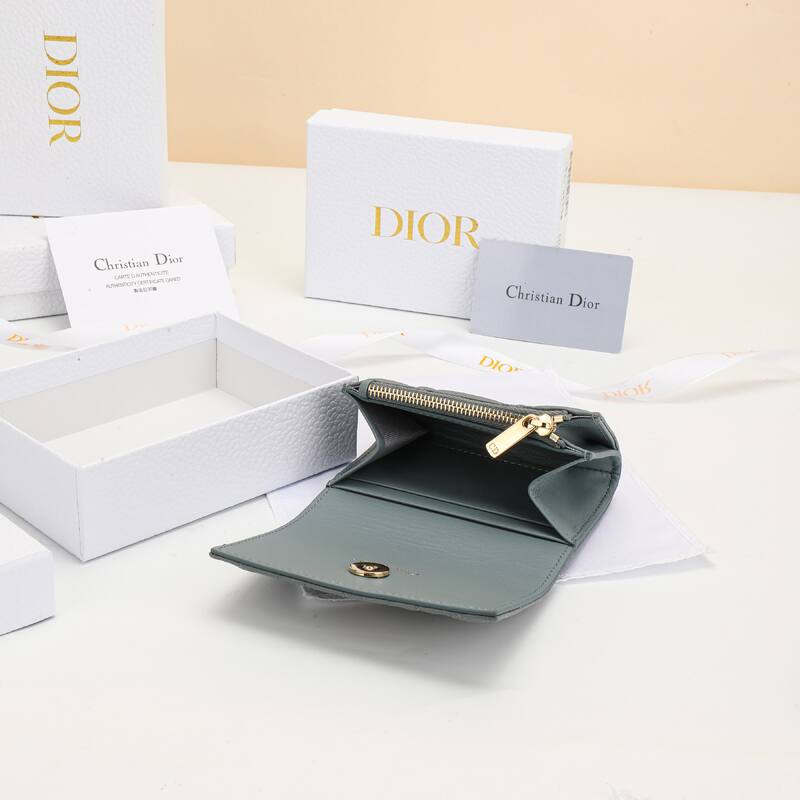 Dior Gray everyday — Premium Replica