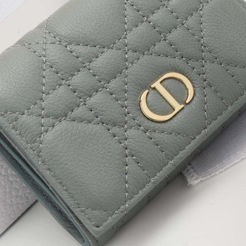 Dior Gray everyday — Premium Replica