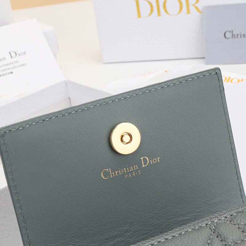 Dior Gray everyday — Premium Replica