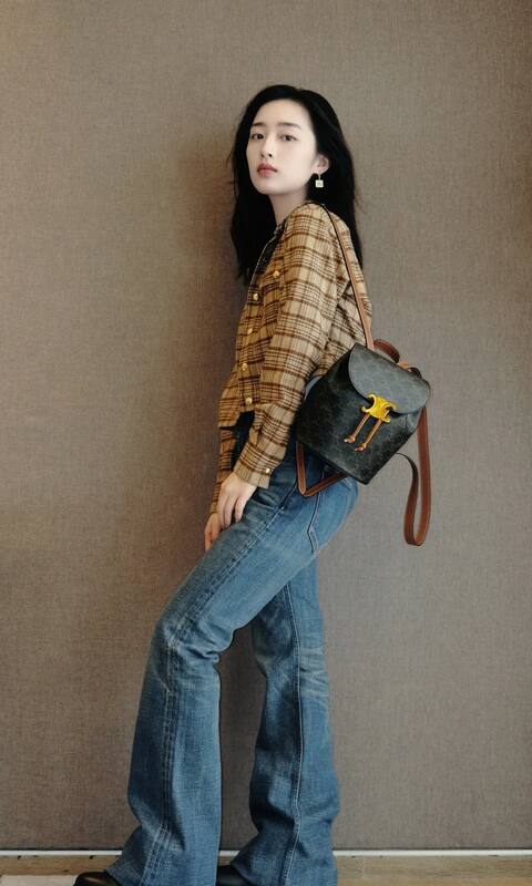 Celine shoulder bag — Premium Replica