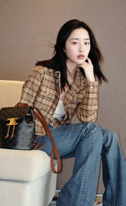 Celine shoulder bag — Premium Replica