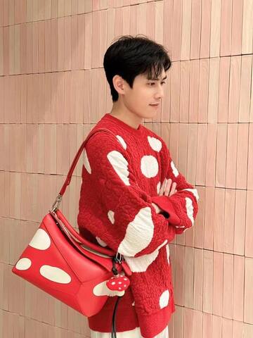 Loewe Red shoulder bag 1 1 Replica