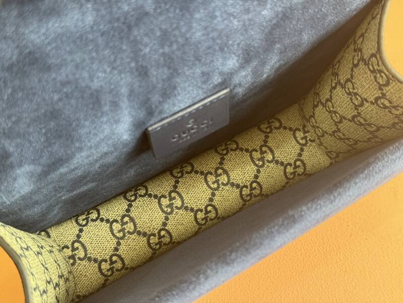 Gucci Dionysus GG Supreme floral 20 15 5 crossbody — AAA Quality Replica