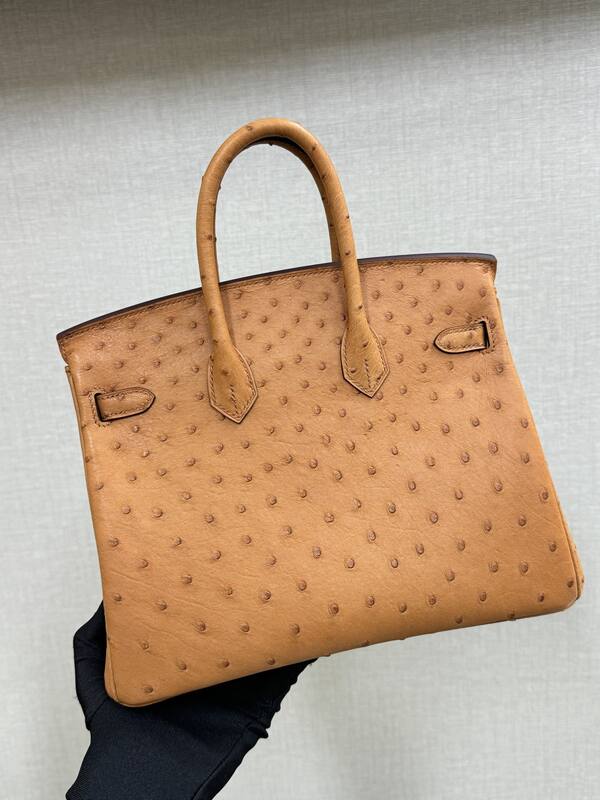 Hermes Birkin 25 Tan Ostrich 25 everyday — AAA Quality Replica