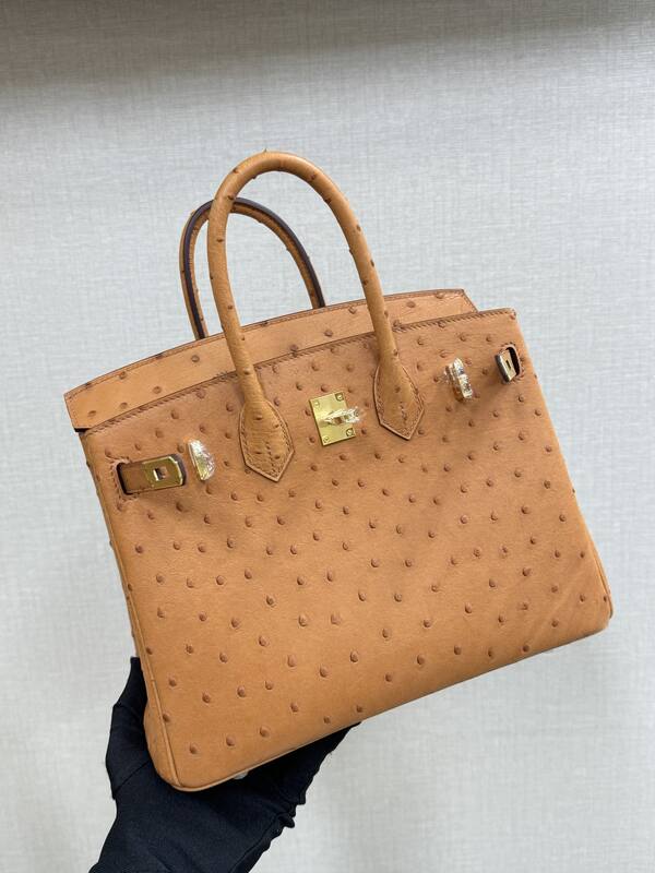 Hermes Birkin 25 Tan Ostrich 25 everyday — AAA Quality Replica