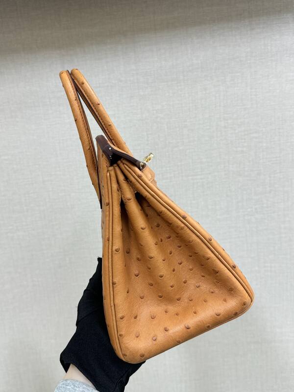 Hermes Birkin 25 Tan Ostrich 25 everyday — AAA Quality Replica