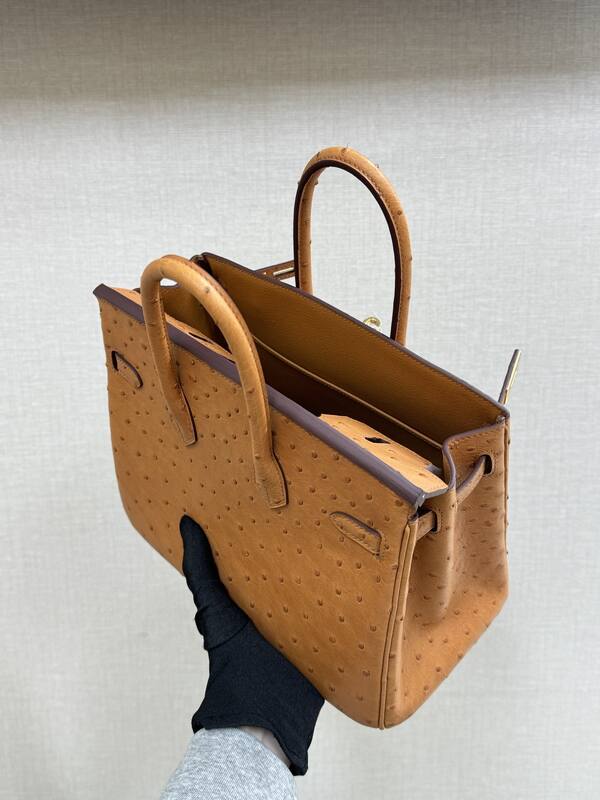Hermes Birkin 25 Tan Ostrich 25 everyday — AAA Quality Replica