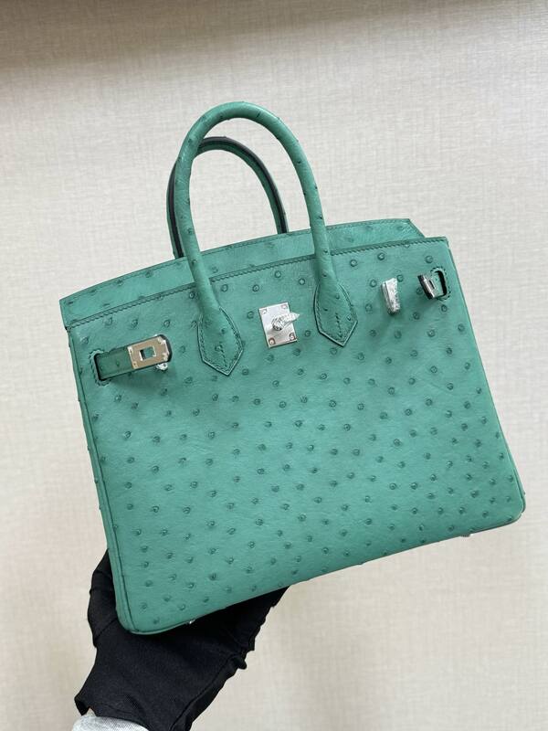Hermes Birkin Turquoise ostrich 25 everyday — 1:1 Replica
