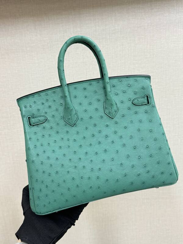 Hermes Birkin Turquoise ostrich 25 everyday — 1:1 Replica