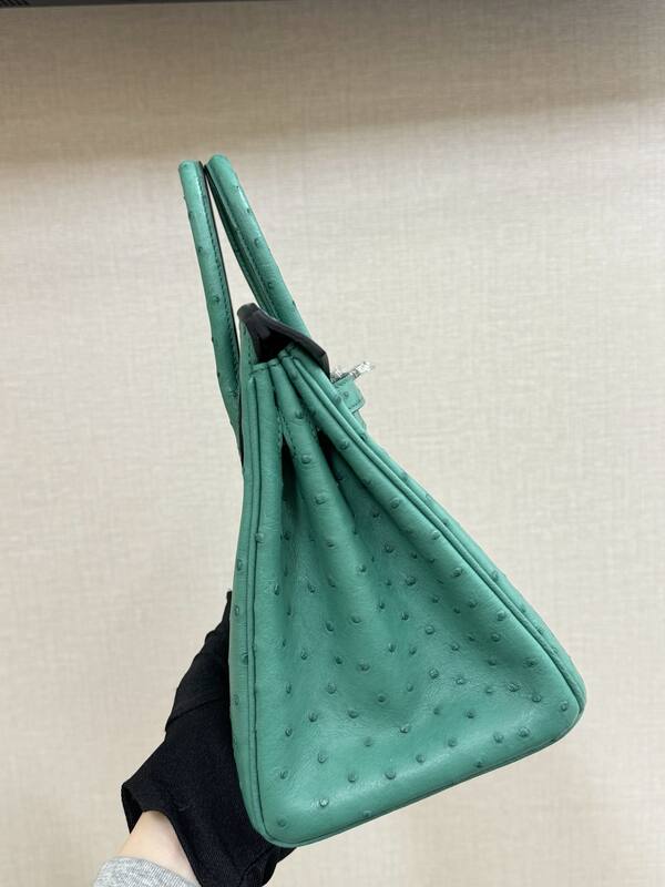 Hermes Birkin Turquoise ostrich 25 everyday — 1:1 Replica