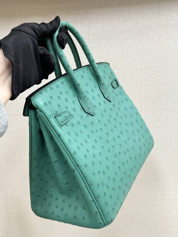Hermes Birkin Turquoise ostrich 25 everyday — 1:1 Replica