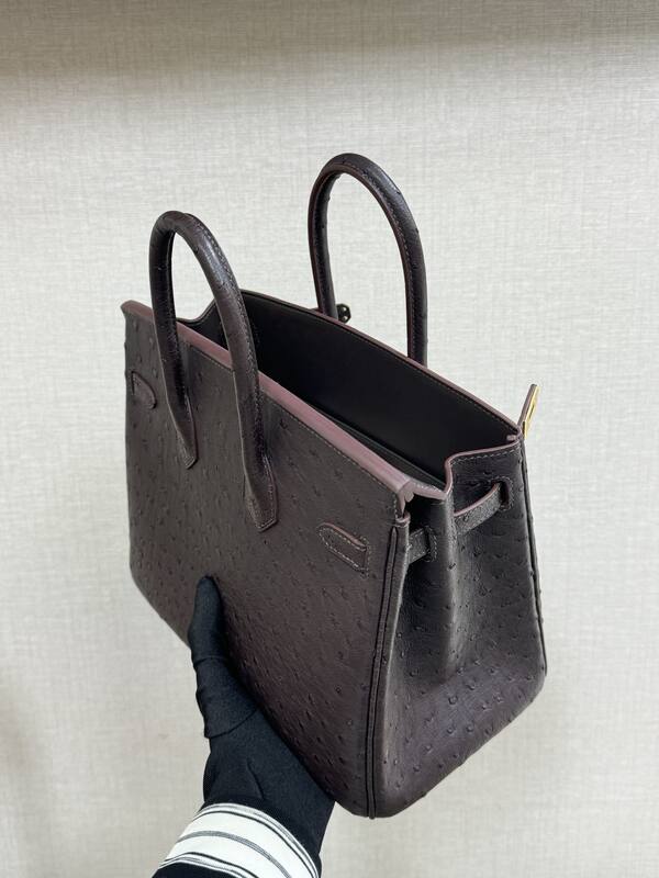 Hermes Birkin 25 Dark Brown Ostrich everyday — 1:1 Replica