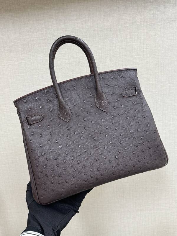 Hermes Birkin 25 Dark Brown Ostrich everyday — 1:1 Replica