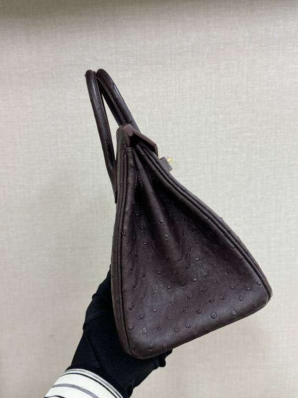 Hermes Birkin 25 Dark Brown Ostrich everyday — 1:1 Replica