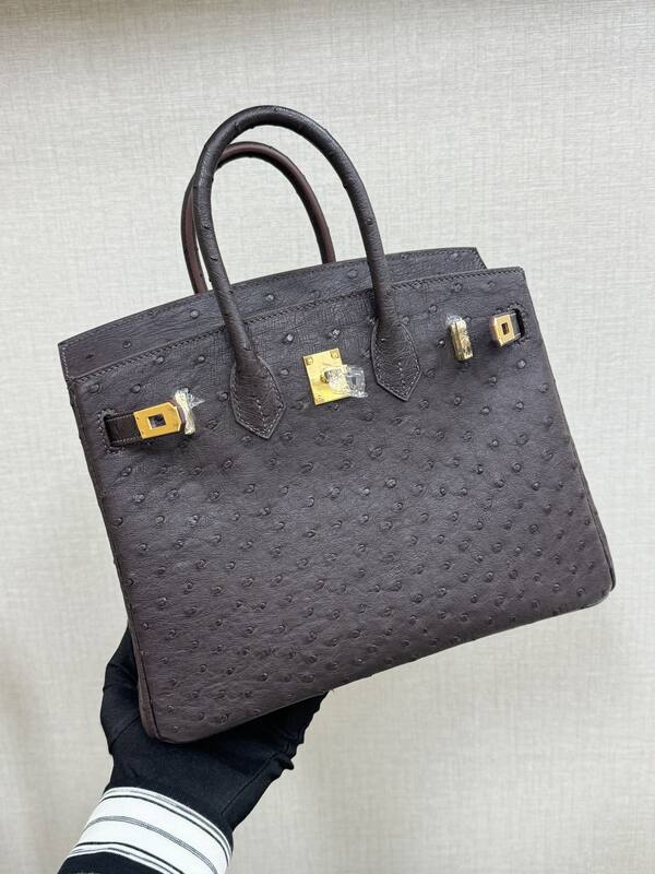 Hermes Birkin 25 Dark Brown Ostrich everyday — 1:1 Replica