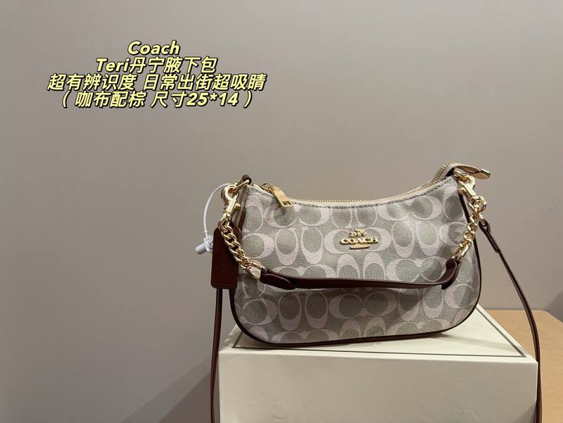 Coach Teri Array 25*14cm shoulder — 1:1 Replica