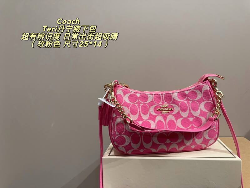 Coach Teri Array 25*14cm shoulder — 1:1 Replica