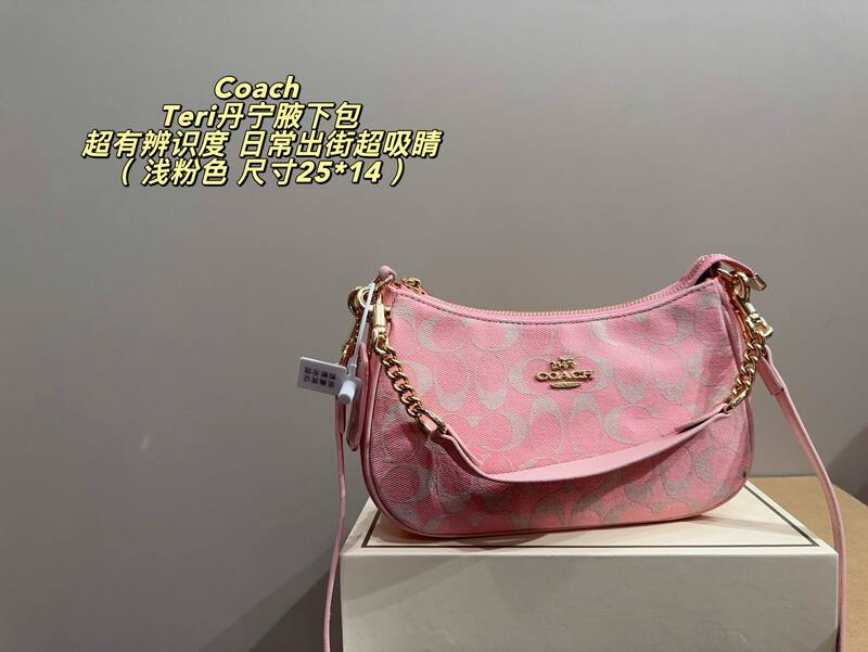 Coach Teri Array 25*14cm shoulder — 1:1 Replica