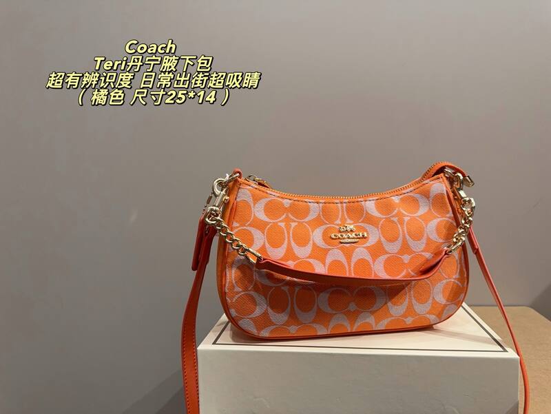 Coach Teri Array 25*14cm shoulder — 1:1 Replica