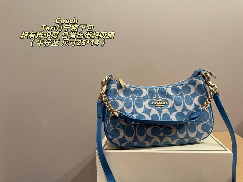 Coach Teri Array 25*14cm shoulder — 1:1 Replica