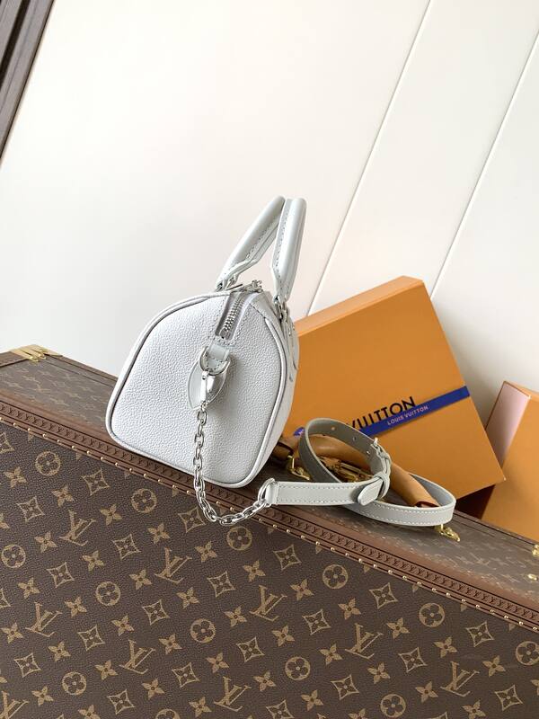 Louis Vuitton M28343 Light gray crossbody — 1:1 Replica