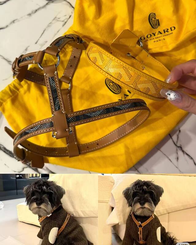 Goyard Brown shoulder bag — Top Quality Replica