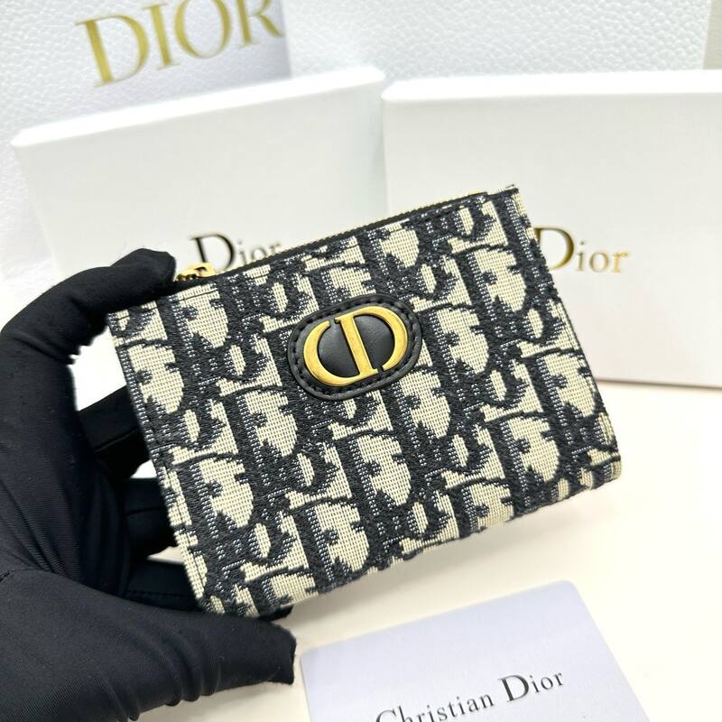 Dior D29 Black and Beige 11 9 2 crossbody — Premium Replica