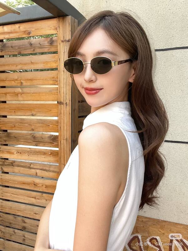 Celine shoulder bag — AAA Quality Replica