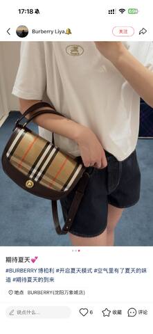 Burberry Brown 25x18x10cm shoulder bag AAA Quality Replica