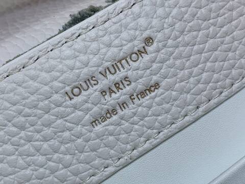 LV bag — practical uses 80278c