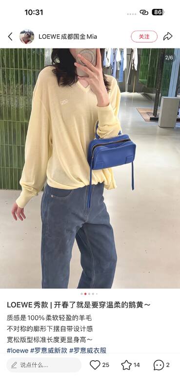 Loewe Blue 25x18x10cm shoulder bag — Premium Replica