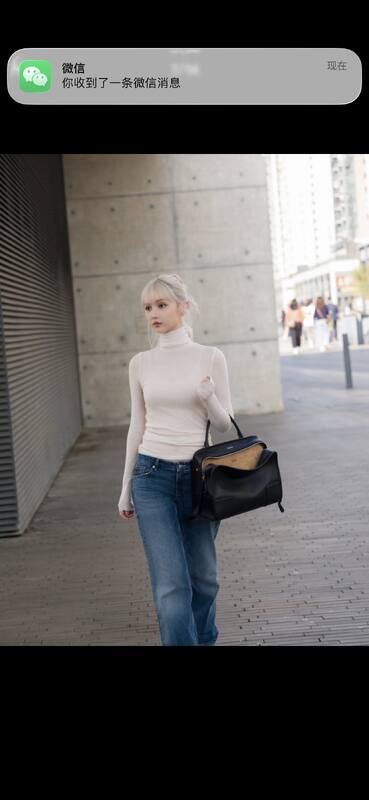 Loewe Blue 25x18x10cm shoulder bag — Premium Replica