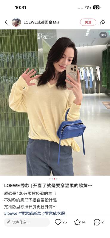 Loewe Blue 25x18x10cm shoulder bag — Premium Replica