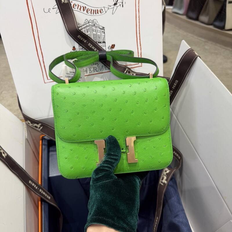 Hermes Constance 19 Pink lizard shoulder — AAA Quality Replica